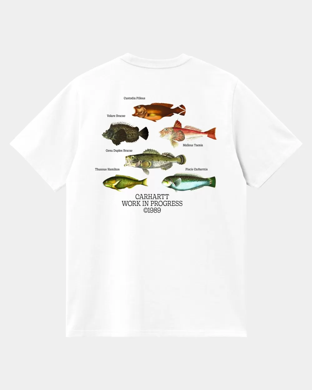 Mænd Carhartt WIP Fisk T-Shirt | Hvid